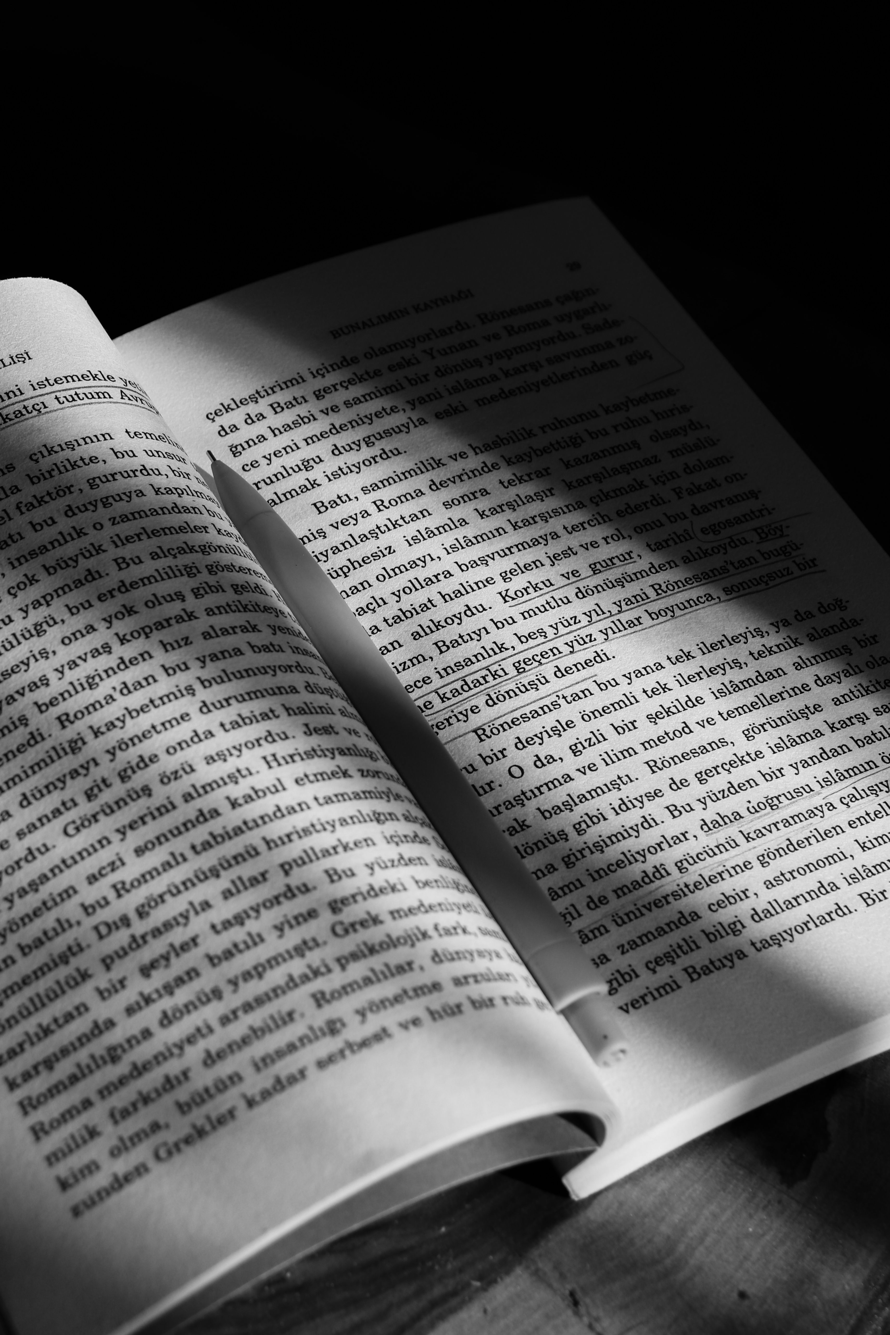 Libro Interactivo